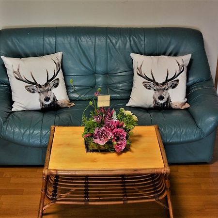 Deerhorn Hostel Hokuto  Kültér fotó